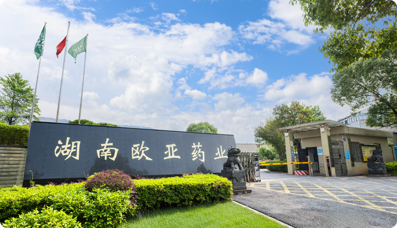 康萬路基地
